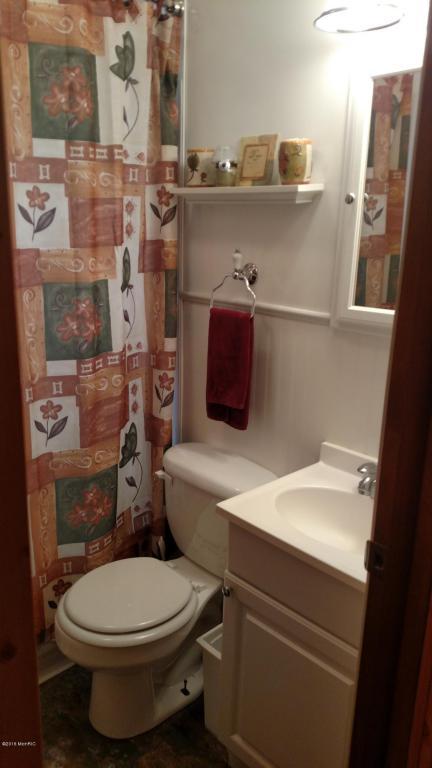 1399 Shepard St, Crystal, MI 48818 photo 10
