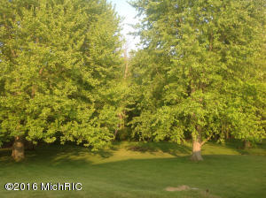4155 32nd St, Dorr, MI 49323 photo 6