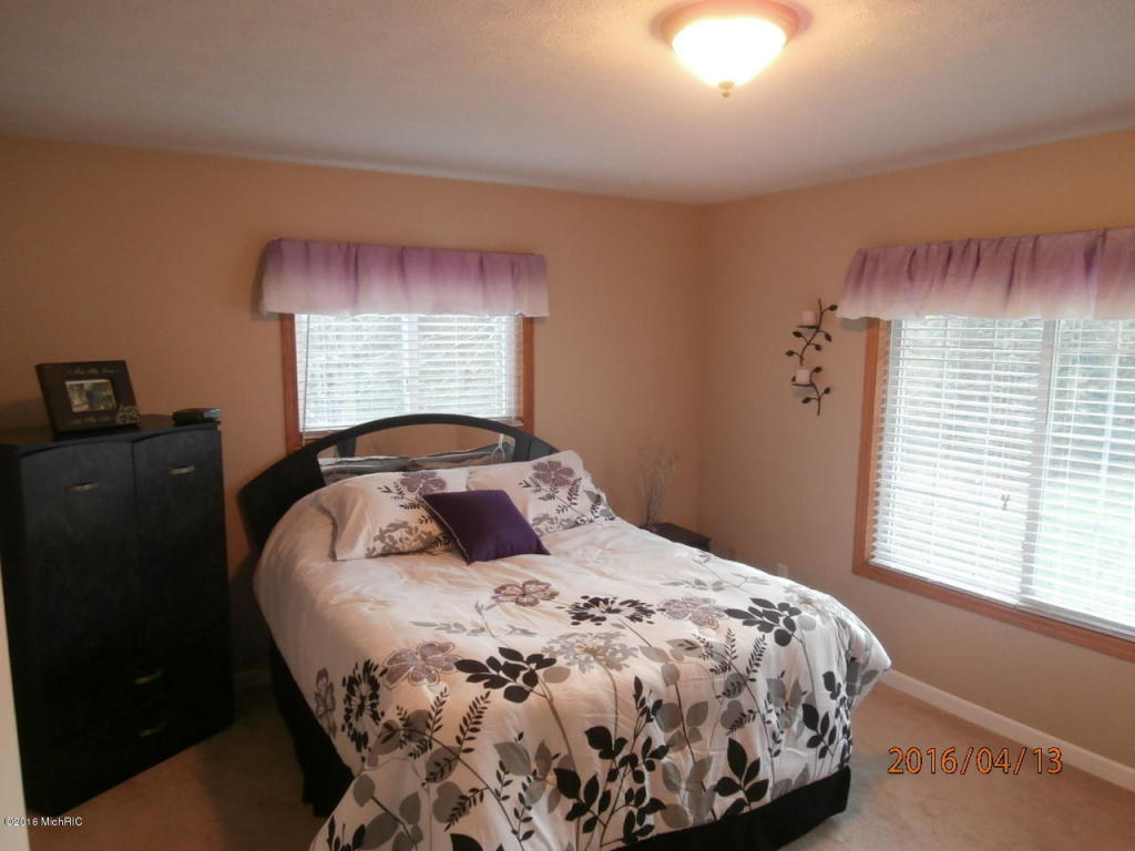 4213 E Shore Dr, Stanton, MI 48888 photo 4