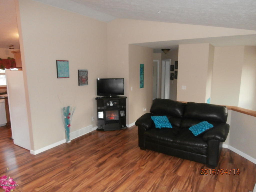 4213 E Shore Dr, Stanton, MI 48888 photo 3