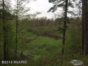 3578 W W River Run Trl, Baldwin, MI 49304 photo 10