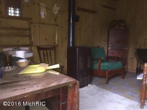 3578 W W River Run Trl, Baldwin, MI 49304 photo 5