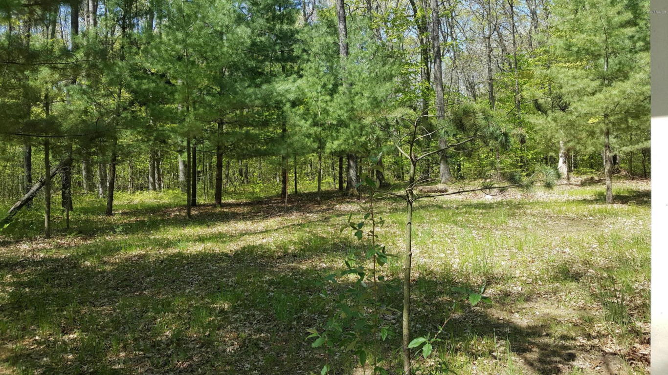 3101 N Evergreen, White Cloud, MI 49349 photo 17