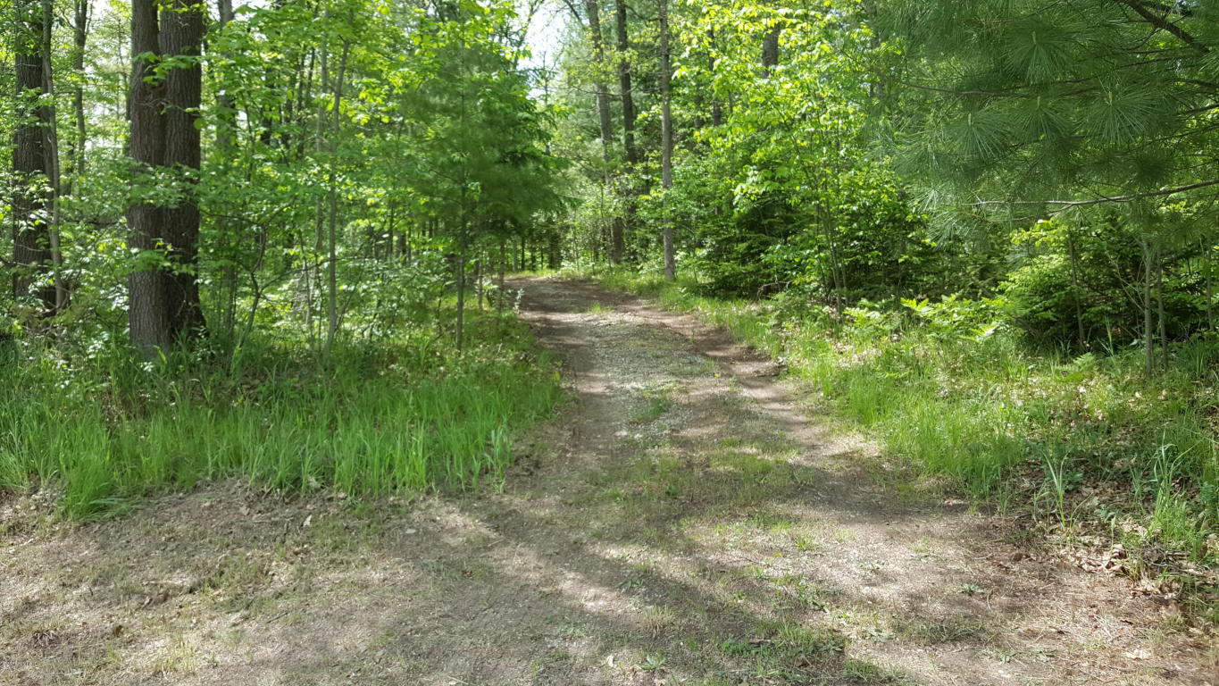 3101 N Evergreen, White Cloud, MI 49349 photo 21
