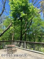 693 Warren St, Marshall, MI 49068 photo 13