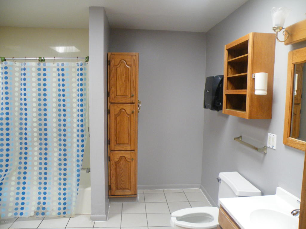 333 S S Ctr, Lowell, MI 49331 photo 4