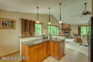 12023 Mac Dr NE, Belding, MI 48809 photo 17