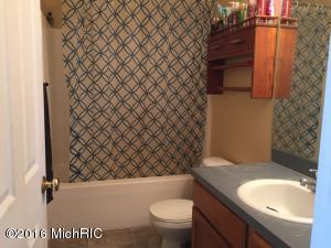 455 White Pine Ct, Belding, MI 48809 photo 17