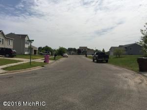 455 White Pine Ct, Belding, MI 48809 photo 3