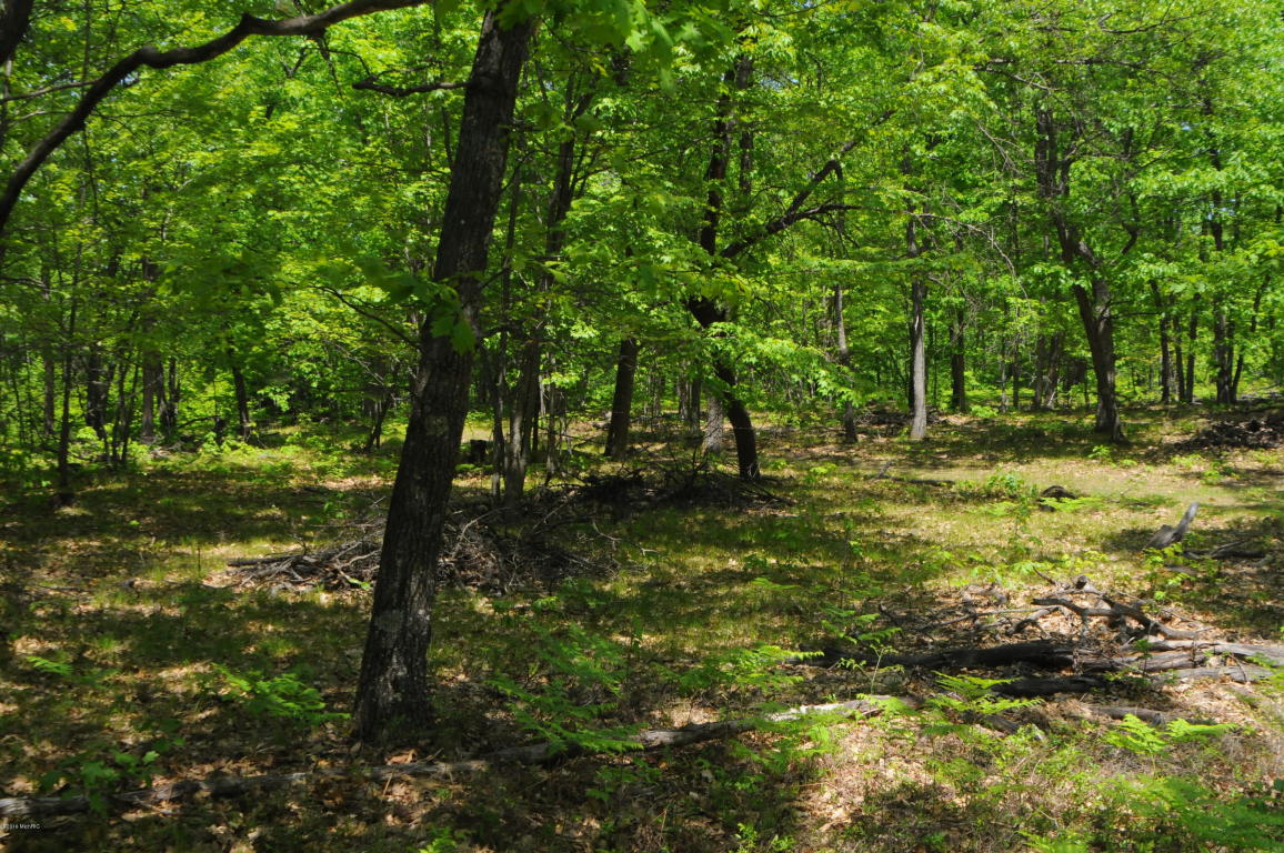 6898 E Pierce Rd, Harrison, MI 48625 photo 44