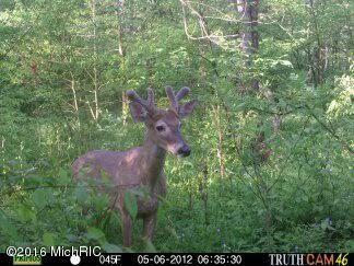 6898 E Pierce Rd, Harrison, MI 48625 photo 50