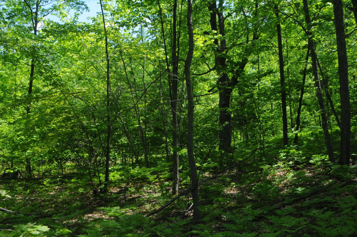 6898 E Pierce Rd, Harrison, MI 48625 photo 26