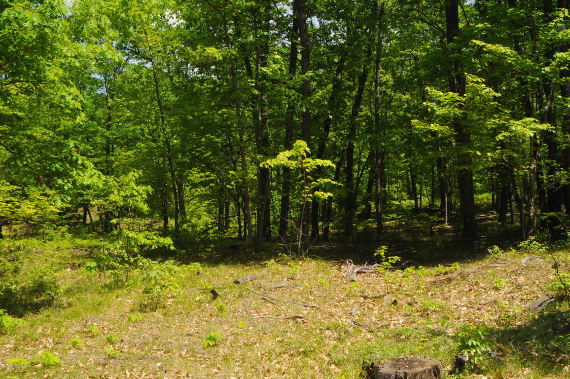 6898 E Pierce Rd, Harrison, MI 48625 photo 42