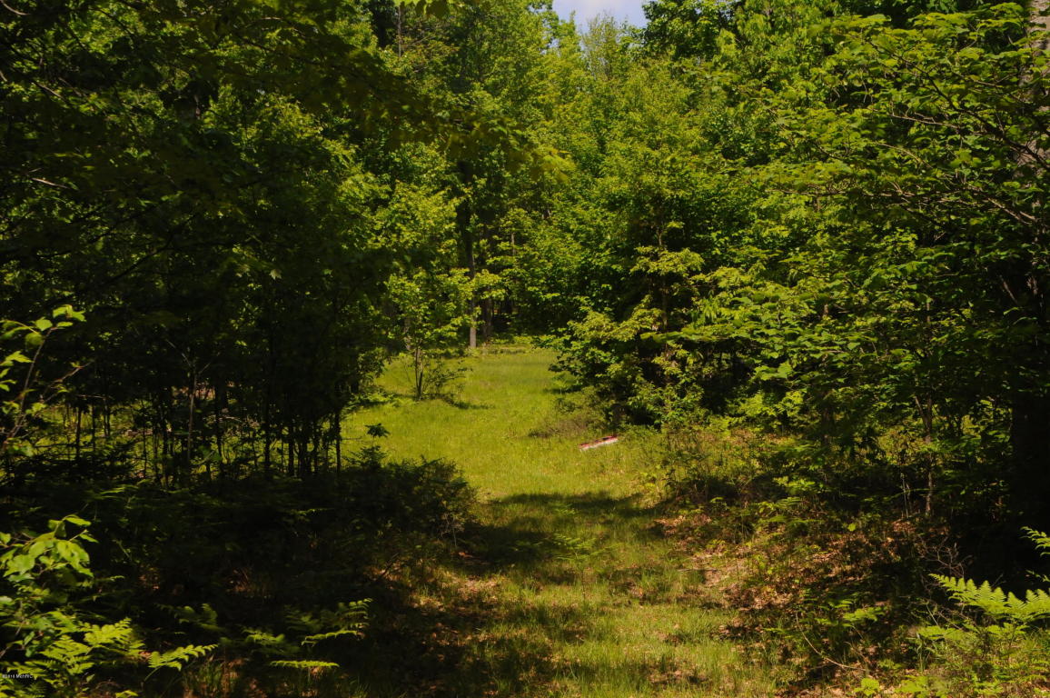 6898 E Pierce Rd, Harrison, MI 48625 photo 37