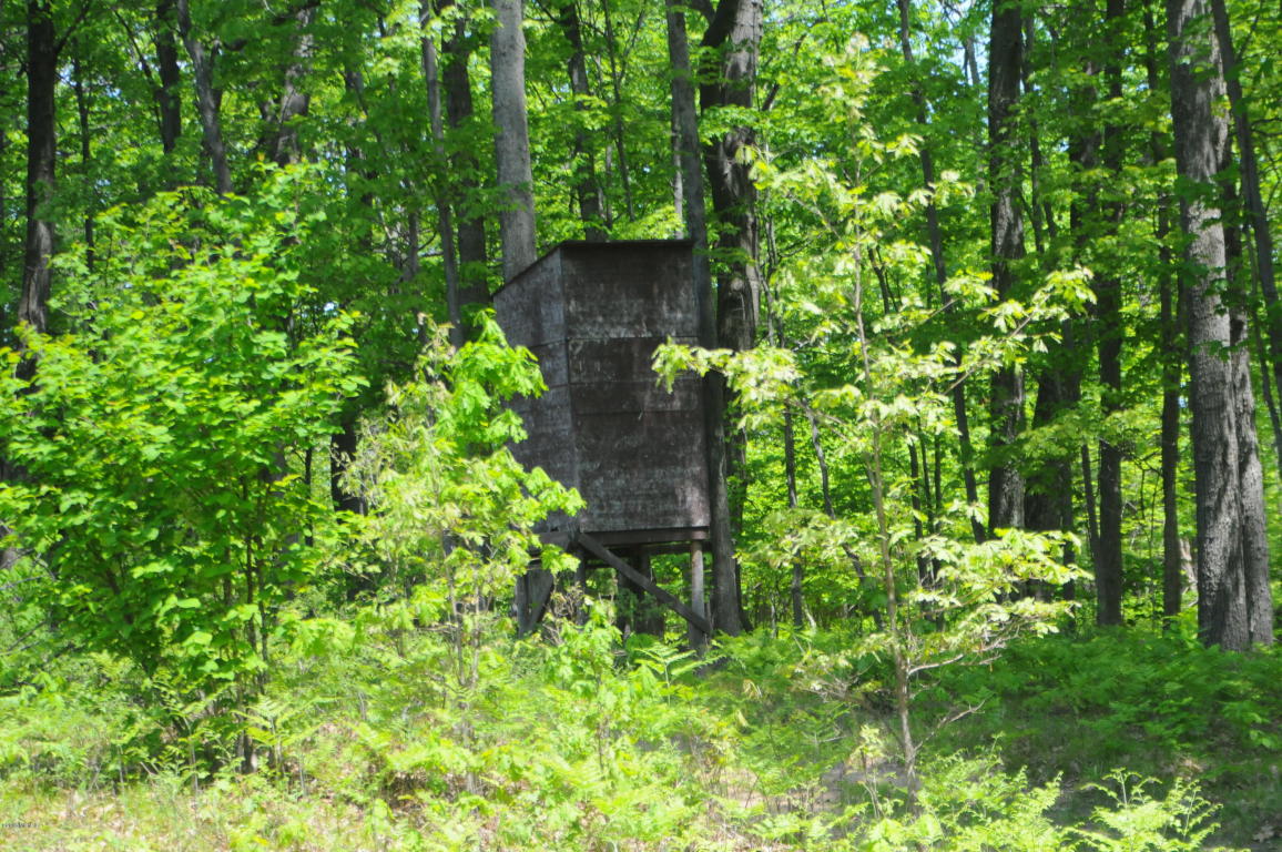 6898 E Pierce Rd, Harrison, MI 48625 photo 21
