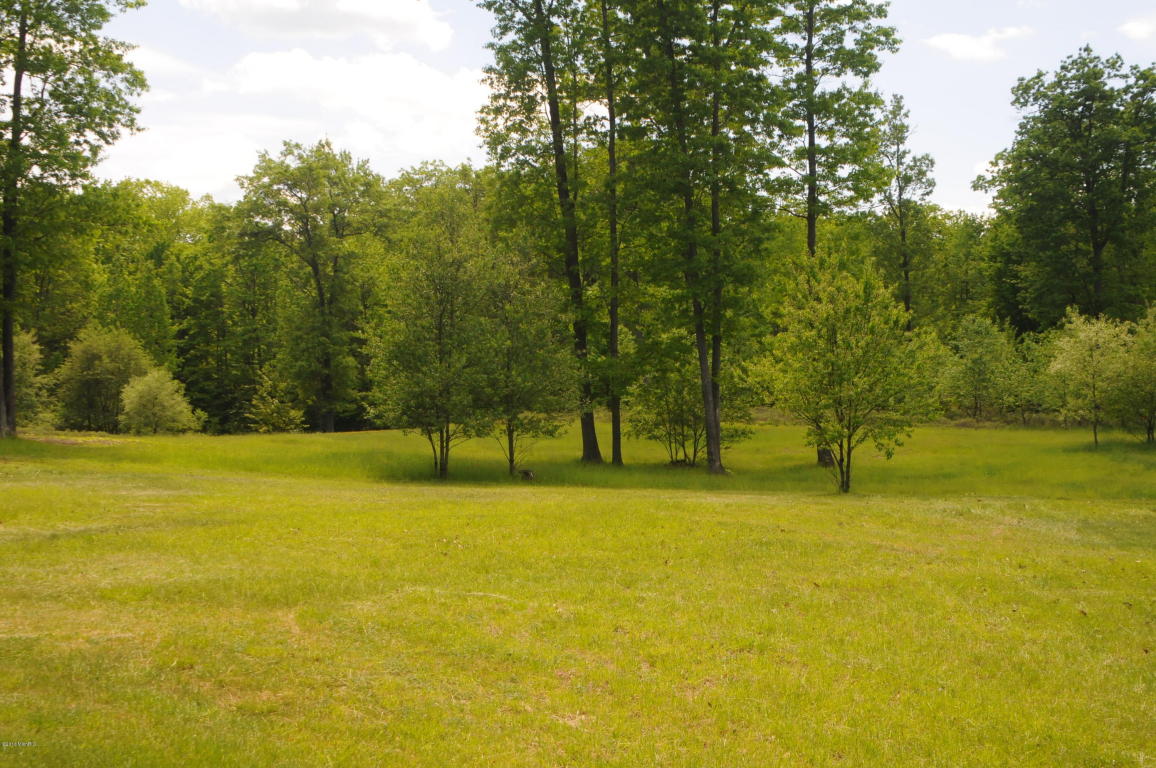 6898 E Pierce Rd, Harrison, MI 48625 photo 46