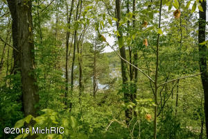 7196 Ashley Ave NE, Belding, MI 48809 photo 20