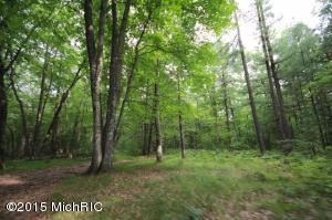 5400 E 44th St, Newaygo, MI 49337 photo 4