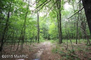 5400 E 44th St, Newaygo, MI 49337 photo 8