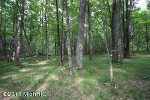 5400 E 44th St, Newaygo, MI 49337 photo 6