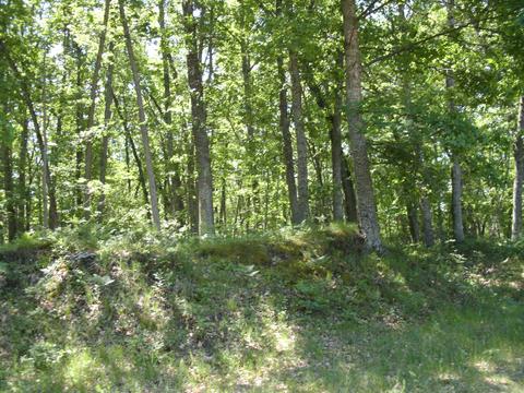 7520 N Mac Rd, Irons, MI 49644 photo 8