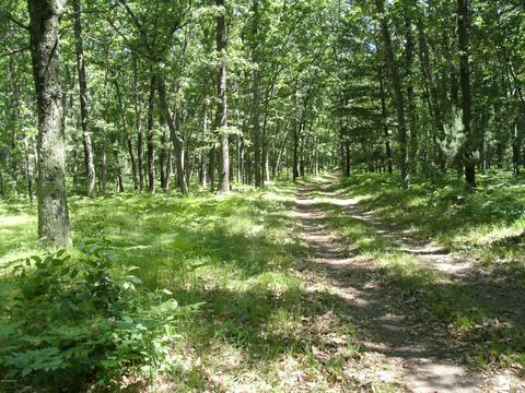 7520 N Mac Rd, Irons, MI 49644 photo 2