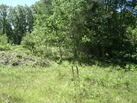 7520 N Mac Rd, Irons, MI 49644 photo 4