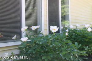 12216 Mac Dr NE, Belding, MI 48809 photo 25