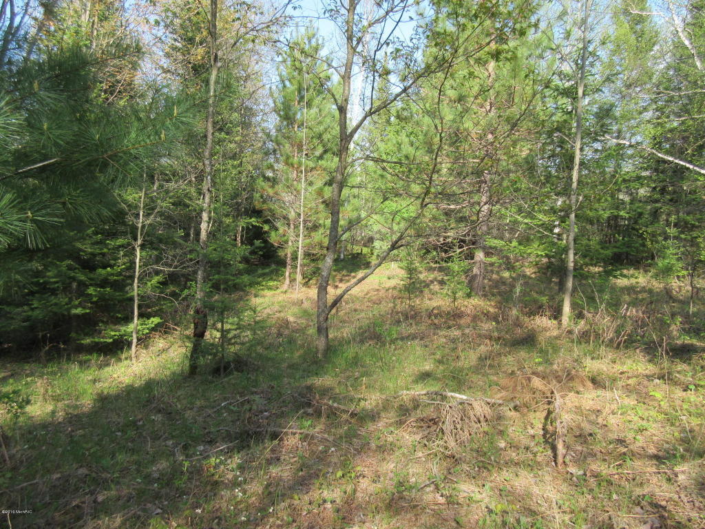 3135 Reilly, Lupton, MI 48635 photo 15