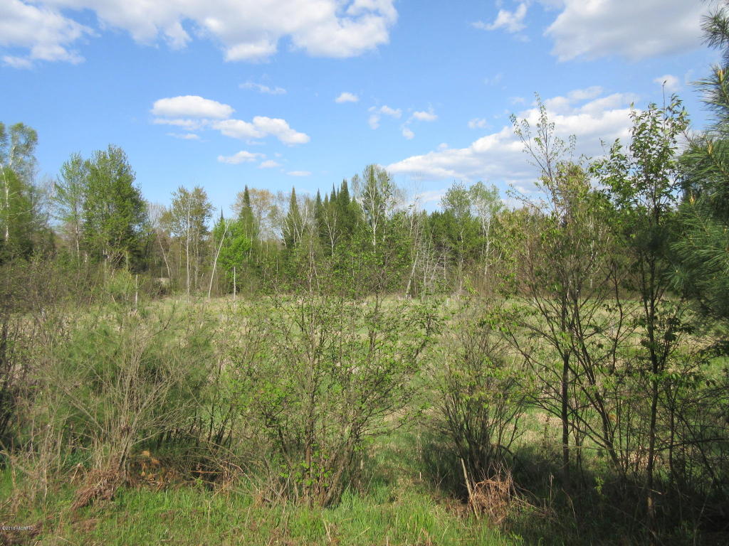 3135 Reilly, Lupton, MI 48635 photo 8