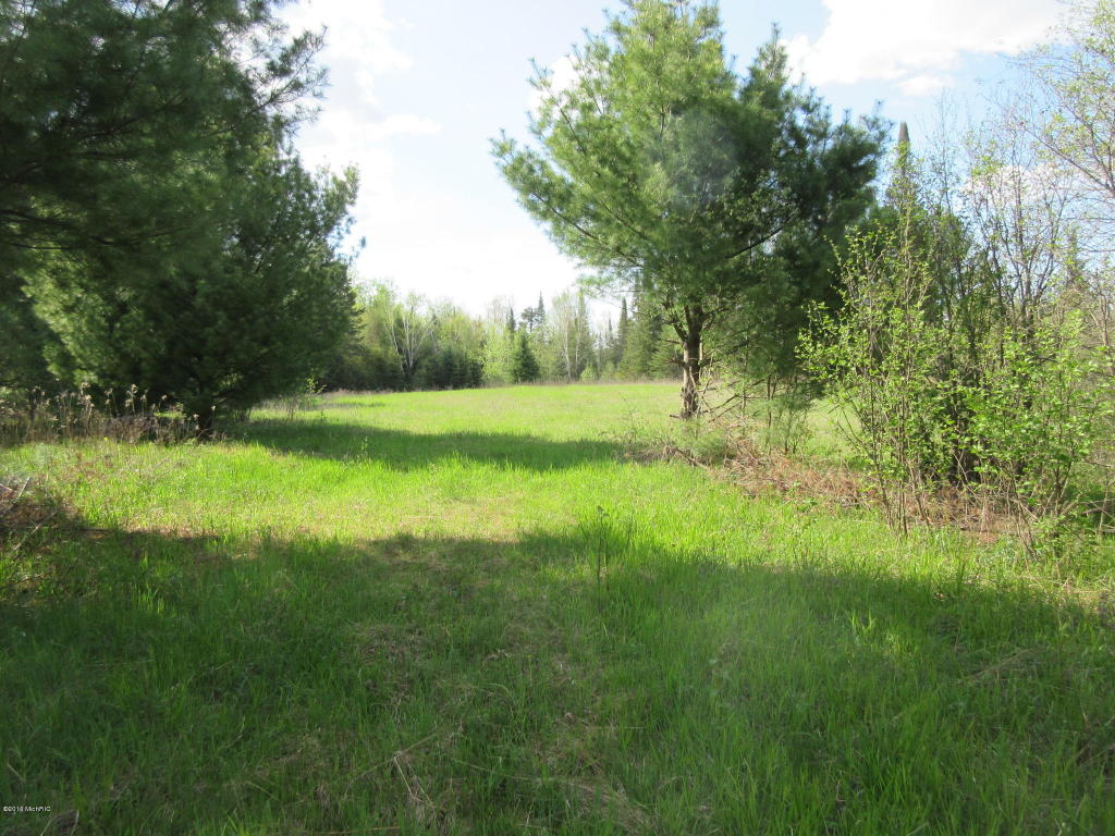 3135 Reilly, Lupton, MI 48635 photo 7