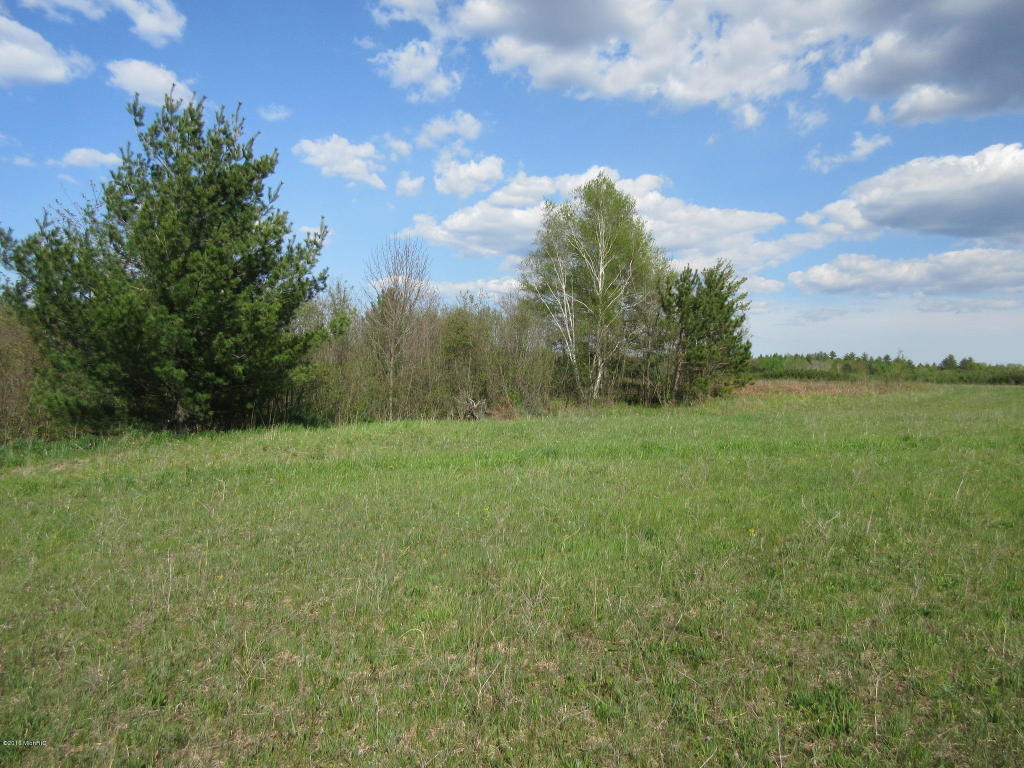 3135 Reilly, Lupton, MI 48635 photo 4