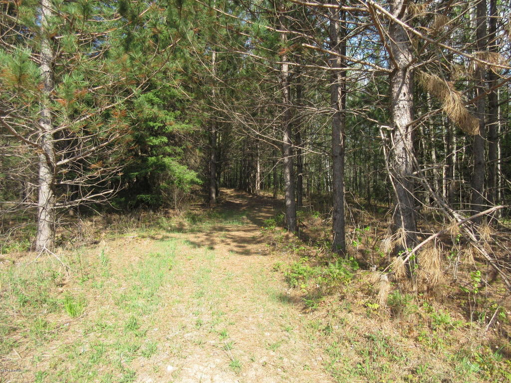 3135 Reilly, Lupton, MI 48635 photo 9