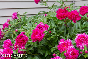 235 E Allen Rd, Howell, MI 48855 photo 40