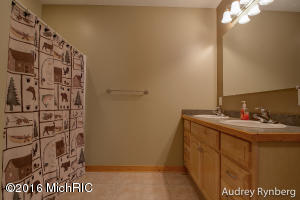 215 E 96th St, Newaygo, MI 49337 photo 35