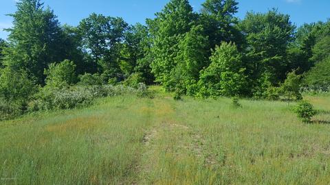 4853 Loop Rd, Hesperia, MI 49421 photo 13