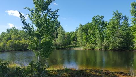 4853 Loop Rd, Hesperia, MI 49421 photo 10