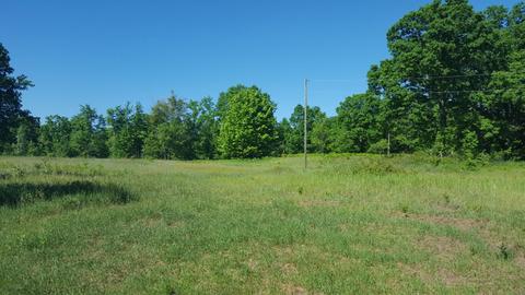 4853 Loop Rd, Hesperia, MI 49421 photo 11