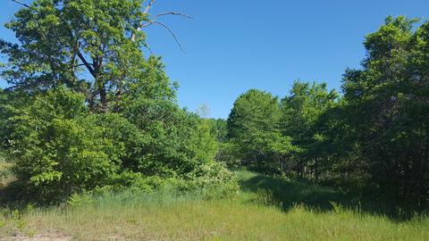 4853 Loop Rd, Hesperia, MI 49421 photo 4