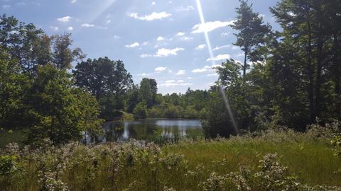 4853 Loop Rd, Hesperia, MI 49421 photo 8