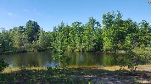 4853 Loop Rd, Hesperia, MI 49421 photo 3