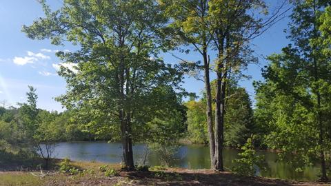 4853 Loop Rd, Hesperia, MI 49421 photo 6