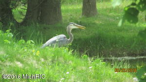 8384 Fulton St E, Ada, MI 49301 photo 31