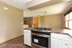 913 N State Rd, Belding, MI 48809 photo 18