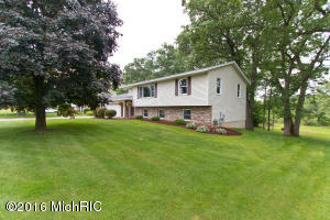 913 N State Rd, Belding, MI 48809 photo 3