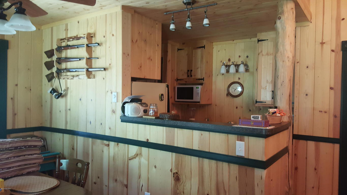 8268 S Pingree, Baldwin, MI 49304 photo 5