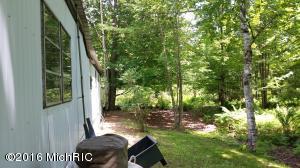 5458 N Red Maple St, Irons, MI 49644 photo 12