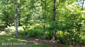 5458 N Red Maple St, Irons, MI 49644 photo 13