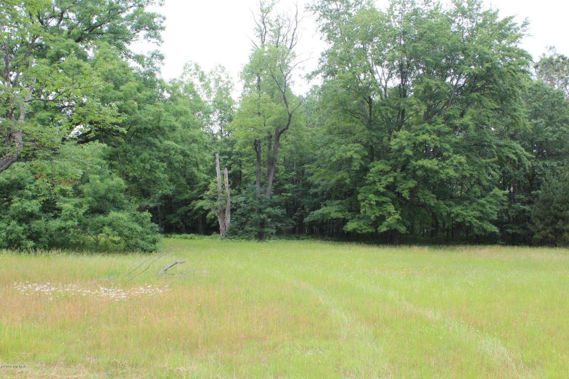 8740 E Ruth Dr, Branch, MI 49402 photo 7