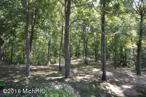 7640 E Day Rd, Bellevue, MI 49021 photo 27